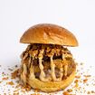 Holy Sh*t Burger